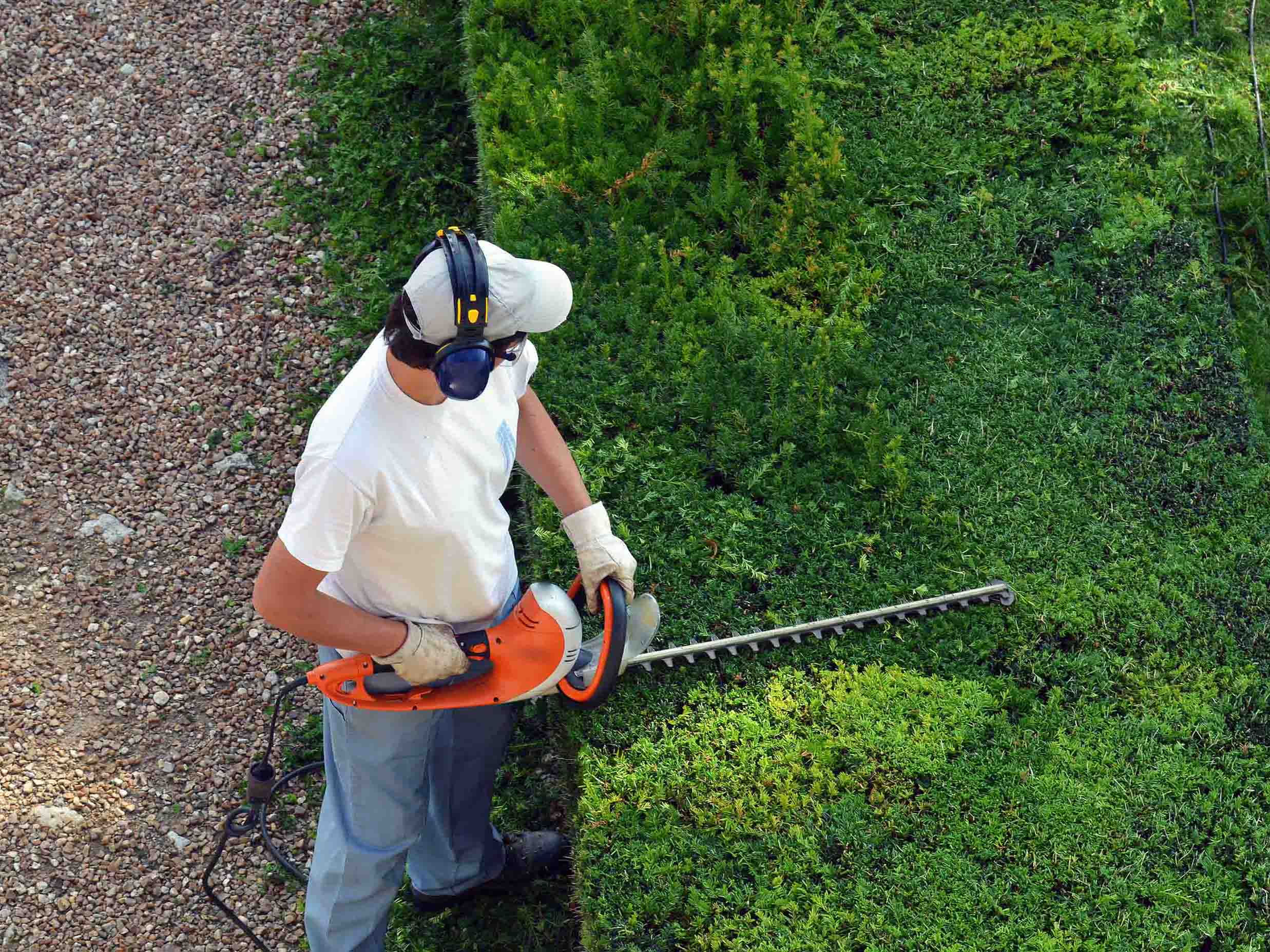 Entretien des espaces verts